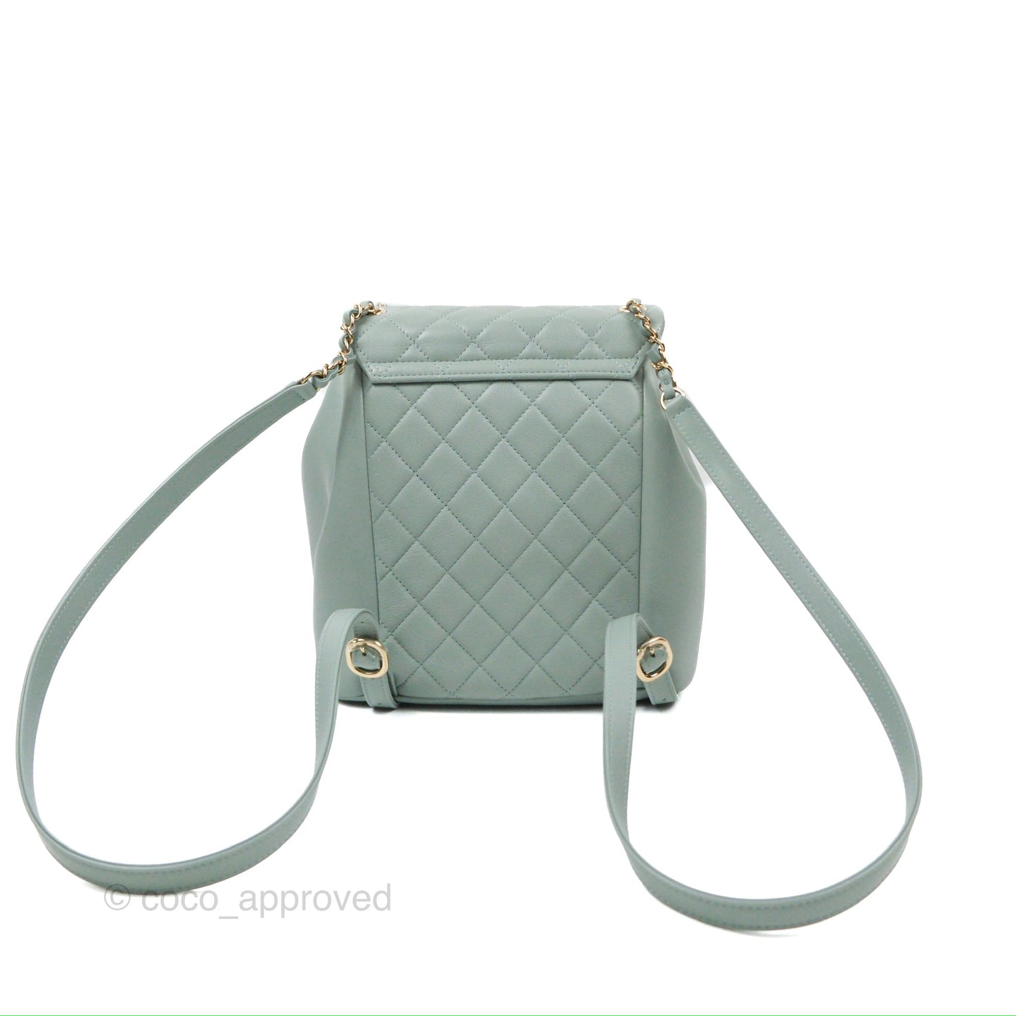 Chanel Quilted Large Duma Drawstring Backpack Tiffany Green Lambskin 23C