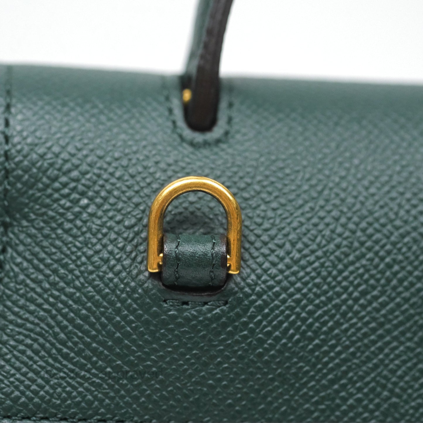 Celine Nano Belt Bag Amazone Grained Calfskin Gold Hardware