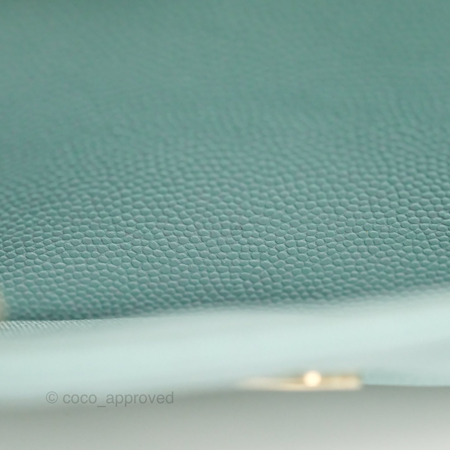 Chanel Quilted Classic Wallet On Chain WOC Tiffany Blue Caviar Gold Hardware