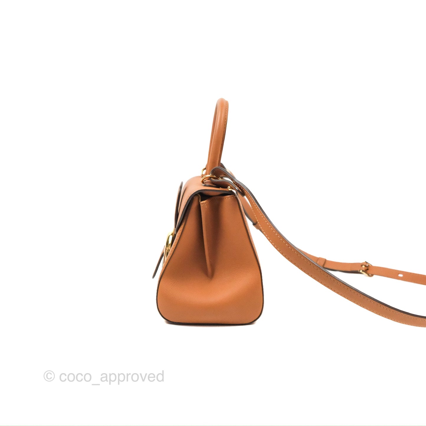 Delvaux Mini Brillant Bag Vegetal Rodeo Calf Gold Hardware