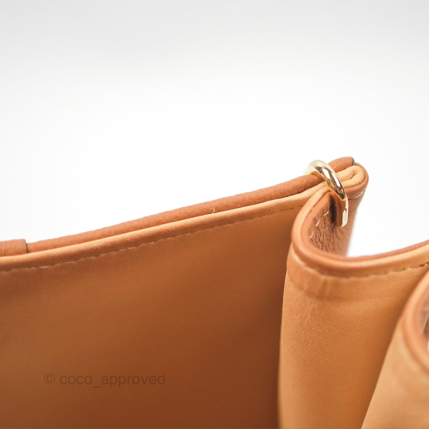 Delvaux Mini Brillant Bag Vegetal Rodeo Calf Gold Hardware