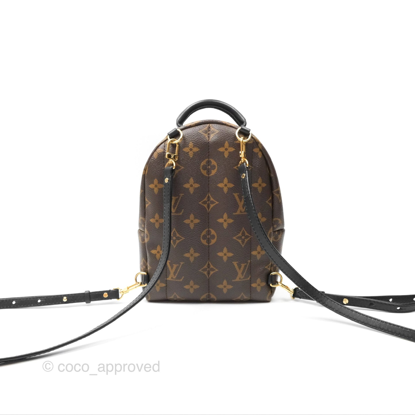 Louis Vuitton Mini Palm Springs Backpack⁣ Monogram Canvas