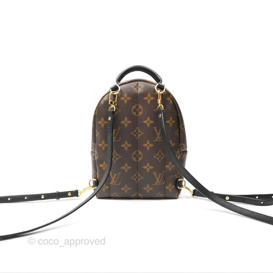Louis Vuitton Mini Palm Springs Backpack⁣ Monogram Canvas