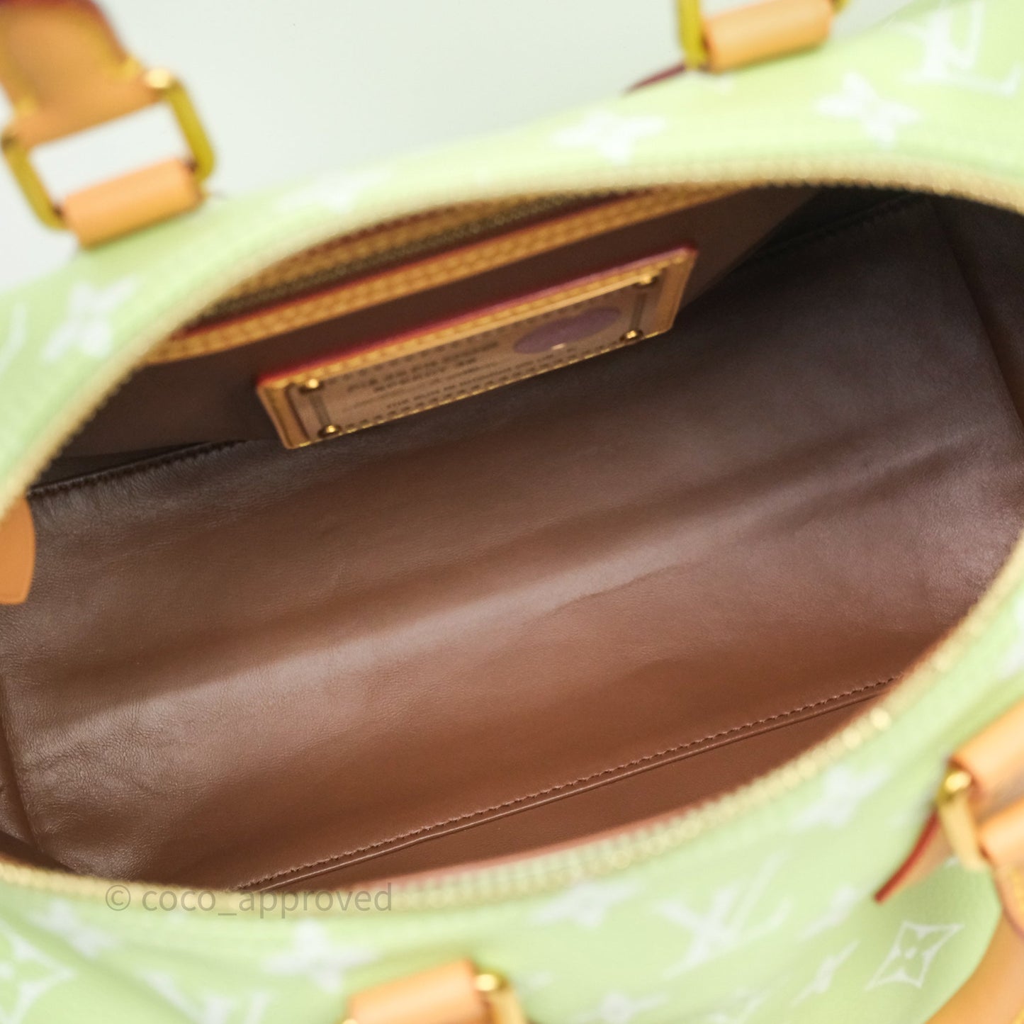 Louis Vuitton Speedy P9 Bandouliere 30 Vert Clair Bag