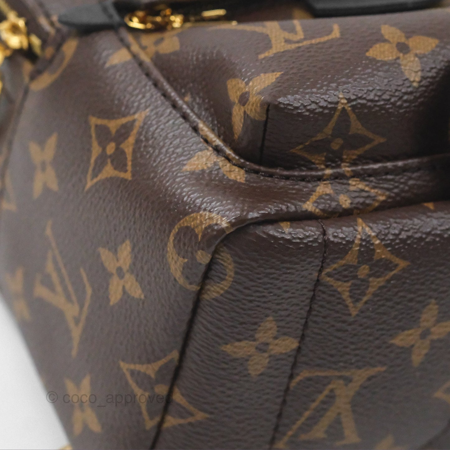 Louis Vuitton Monogram Mini Palm Springs Backpack⁣
