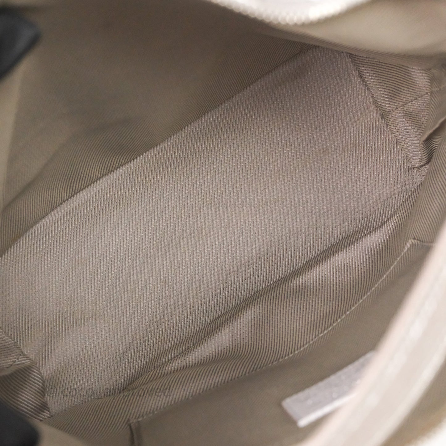 Louis Vuitton Monogram Shimmer Halo Bag Silver
