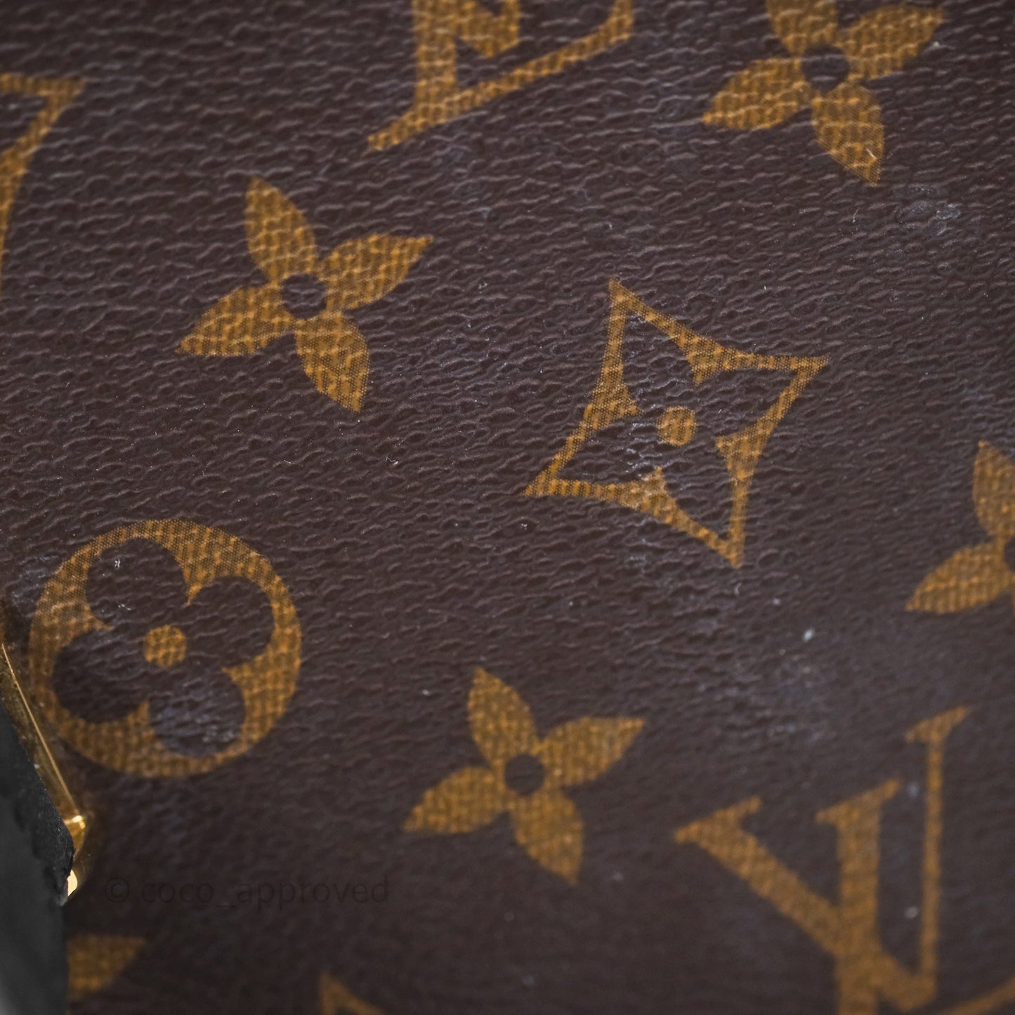 Louis Vuitton Monogram Canvas Reverse Cannes Bag
