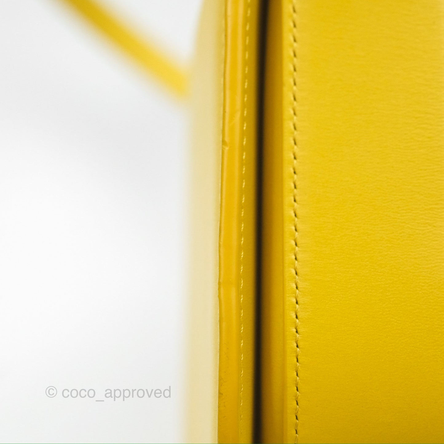 Loewe Small Goya Bag Yellow Silk Calfskin