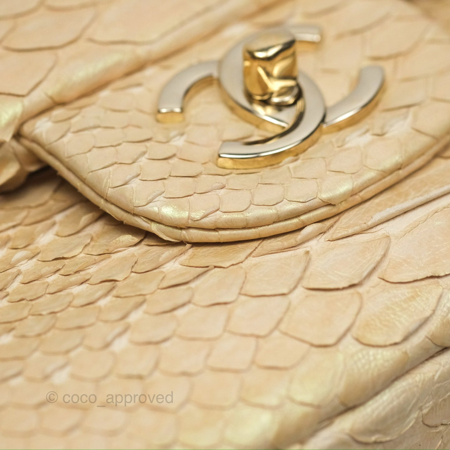 Chanel Jumbo Double Flap Iridescent Gold Python Gold Hardware⁣⁣