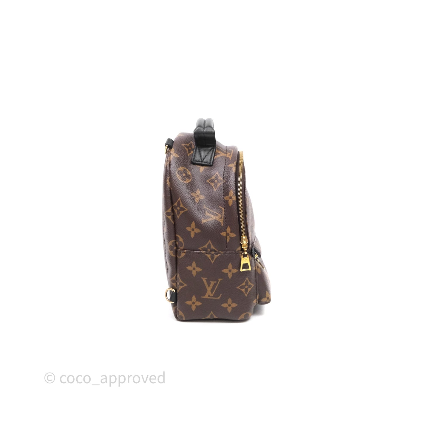 Louis Vuitton Mini Palm Springs Backpack⁣ Monogram