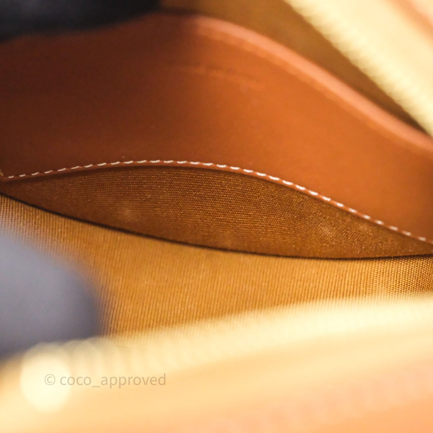 Celine Round Purse on Strap Triomphe Canvas Tan