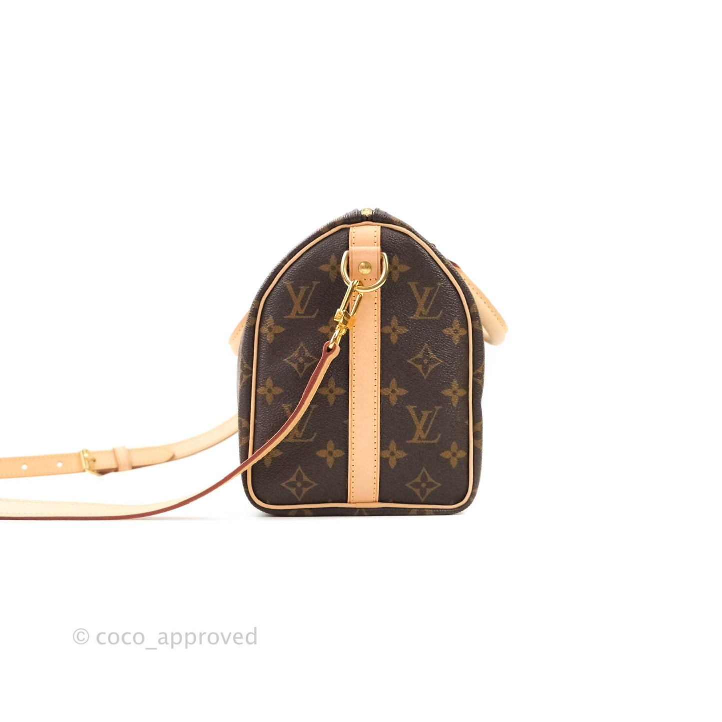 Louis Vuitton Monogram Canvas Speedy 25