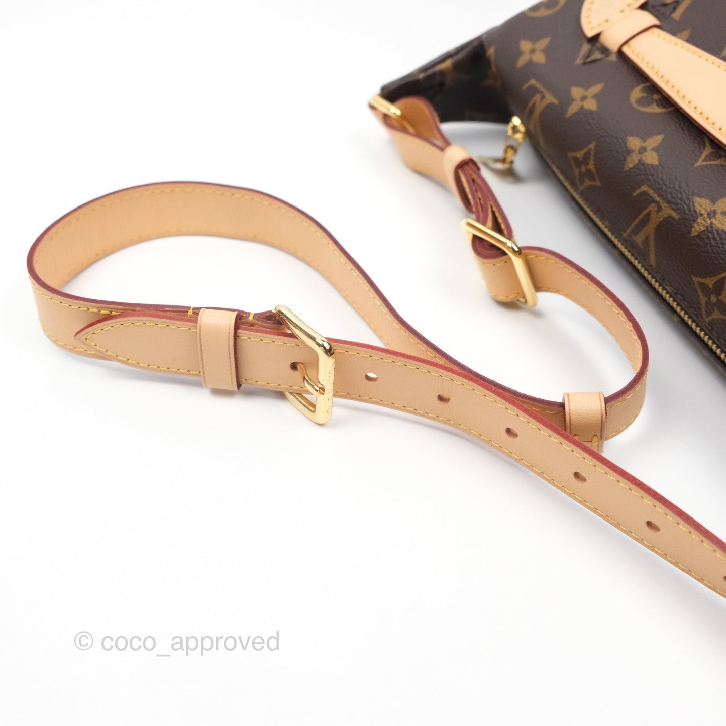 Louis Vuitton Bum Bag Monogram Canvas
