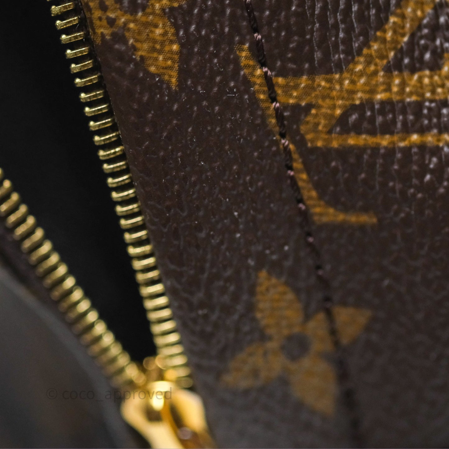 Louis Vuitton Monogram Mini Palm Springs Backpack⁣