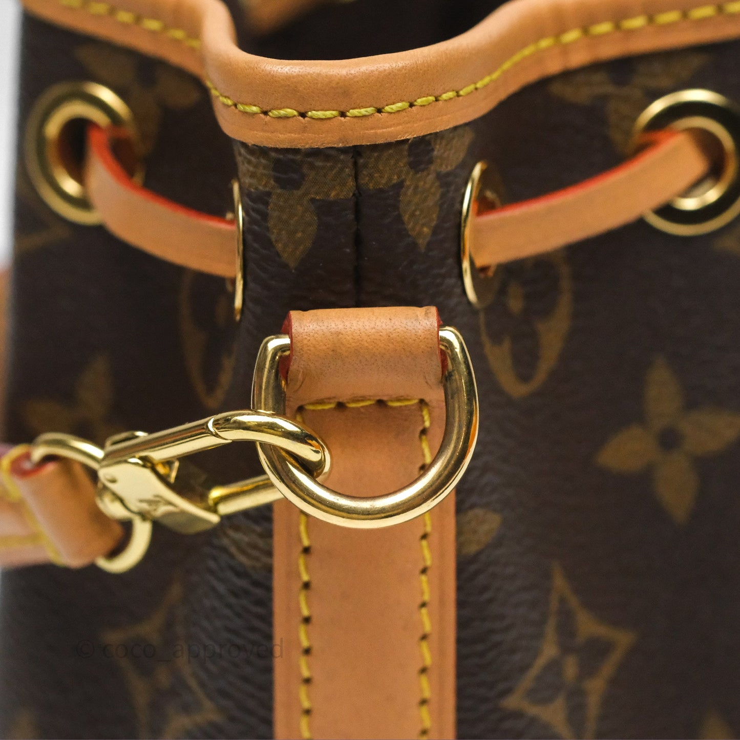 Louis Vuitton Nano Noe Monogram