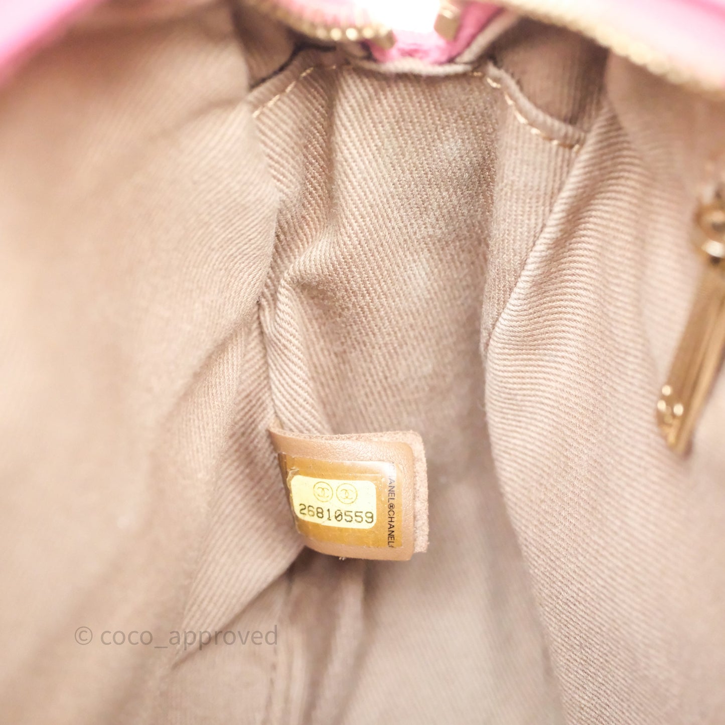 Chanel Camera Bag Pink Calfskin Aged Gold Hardware