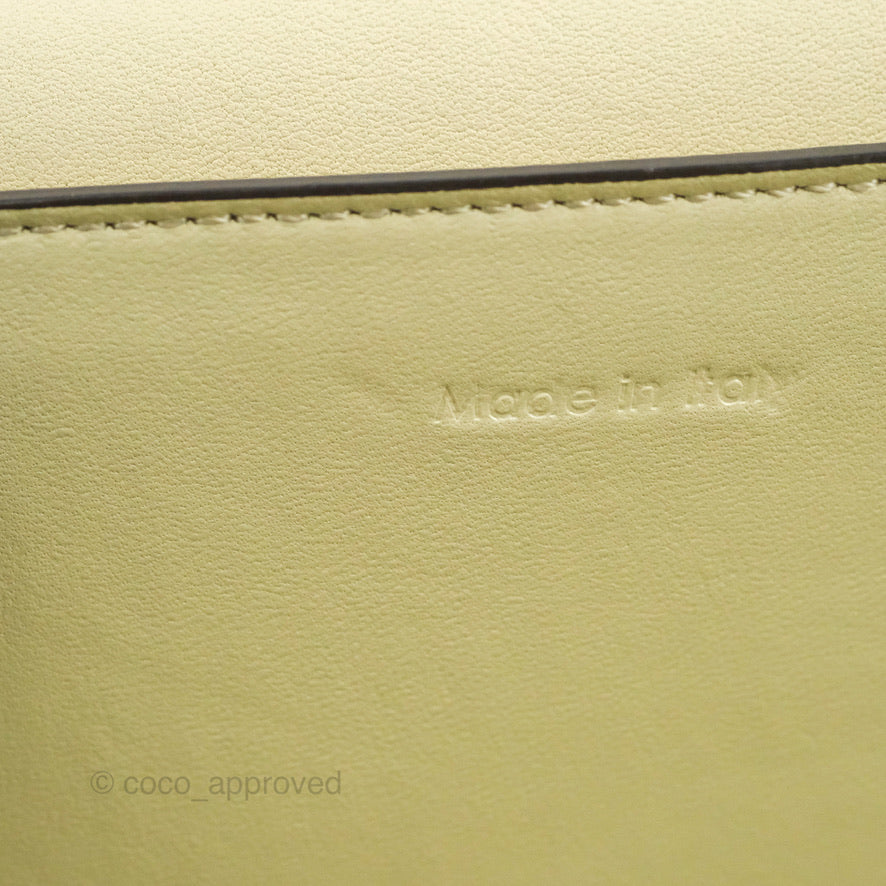 Celine Frame Bag Light Green