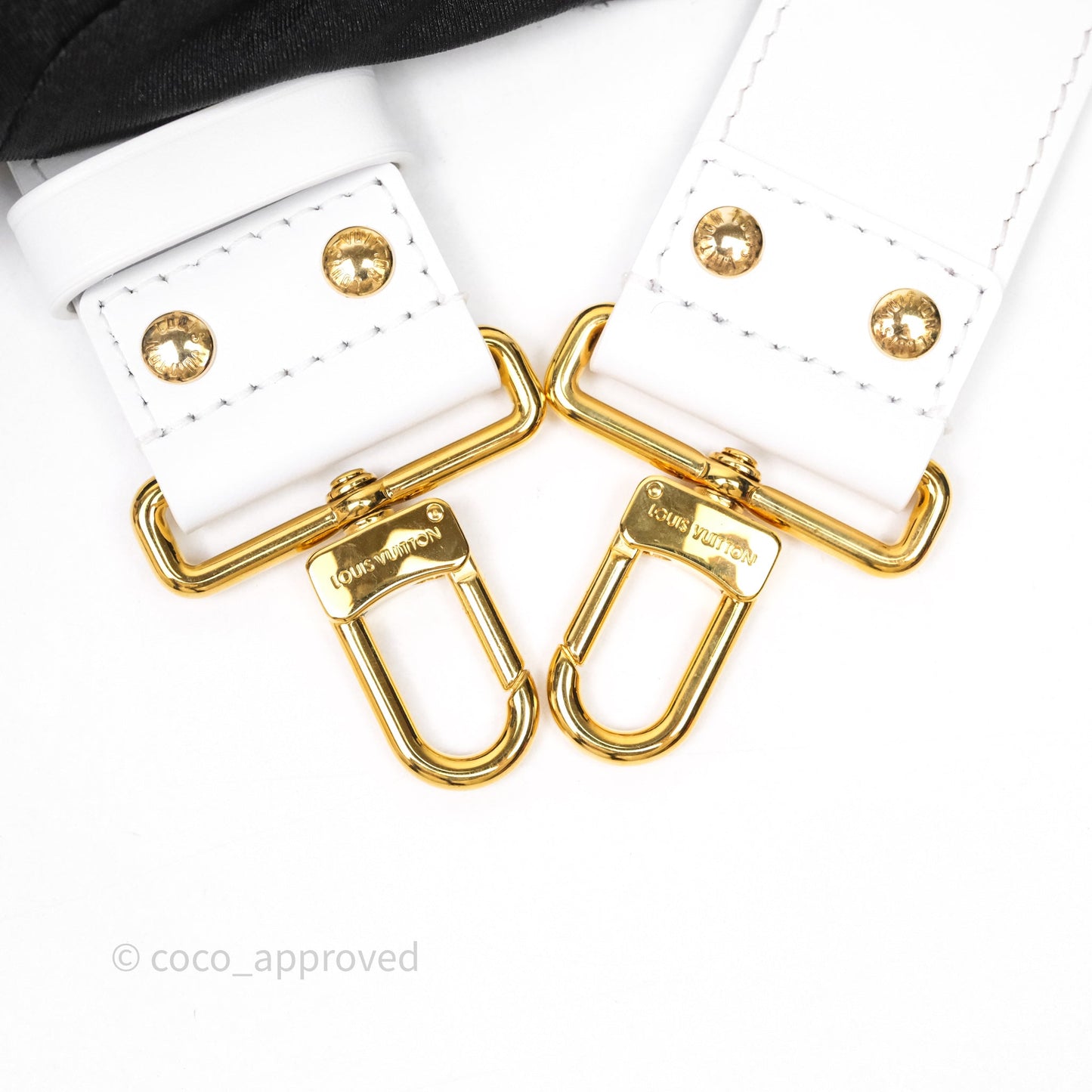 Louis Vuitton Monogram Papillon Trunk Bag