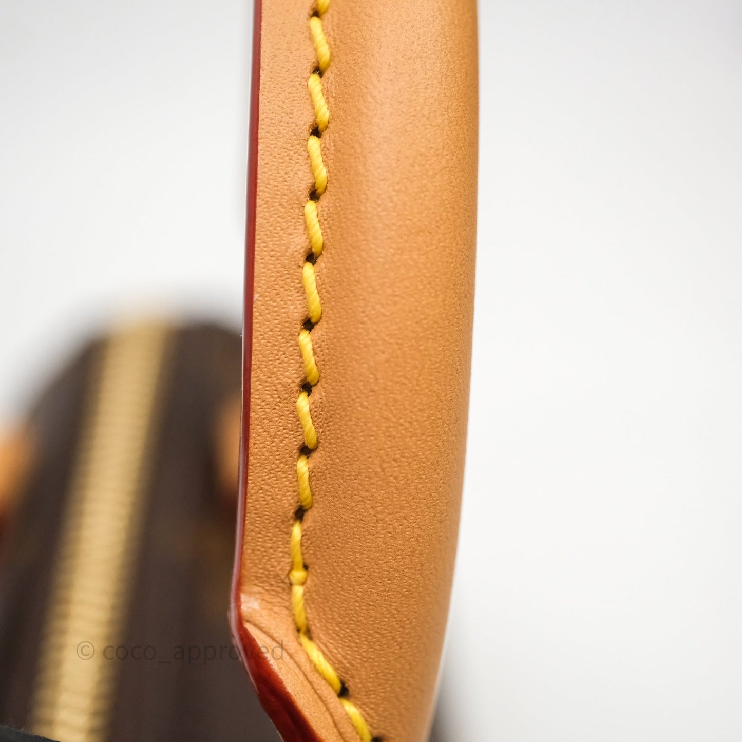 Louis Vuitton Nano Speedy Monogram