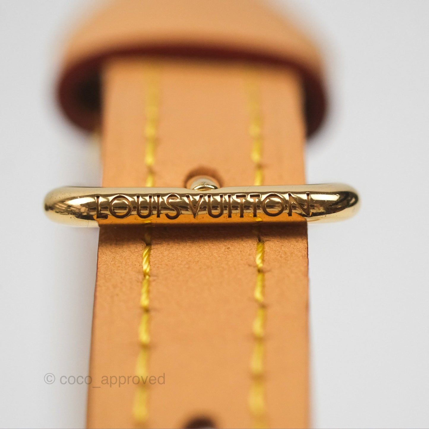 Louis Vuitton Nano Speedy Monogram