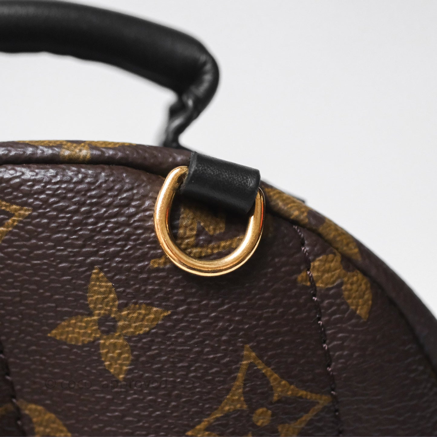 Louis Vuitton Mini Palm Springs Backpack⁣ Monogram