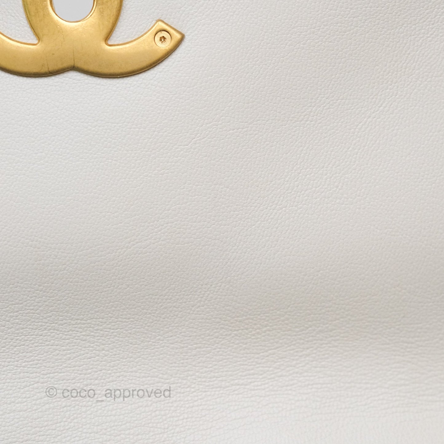 Chanel 19 Small Pearly White Mixed Hardware