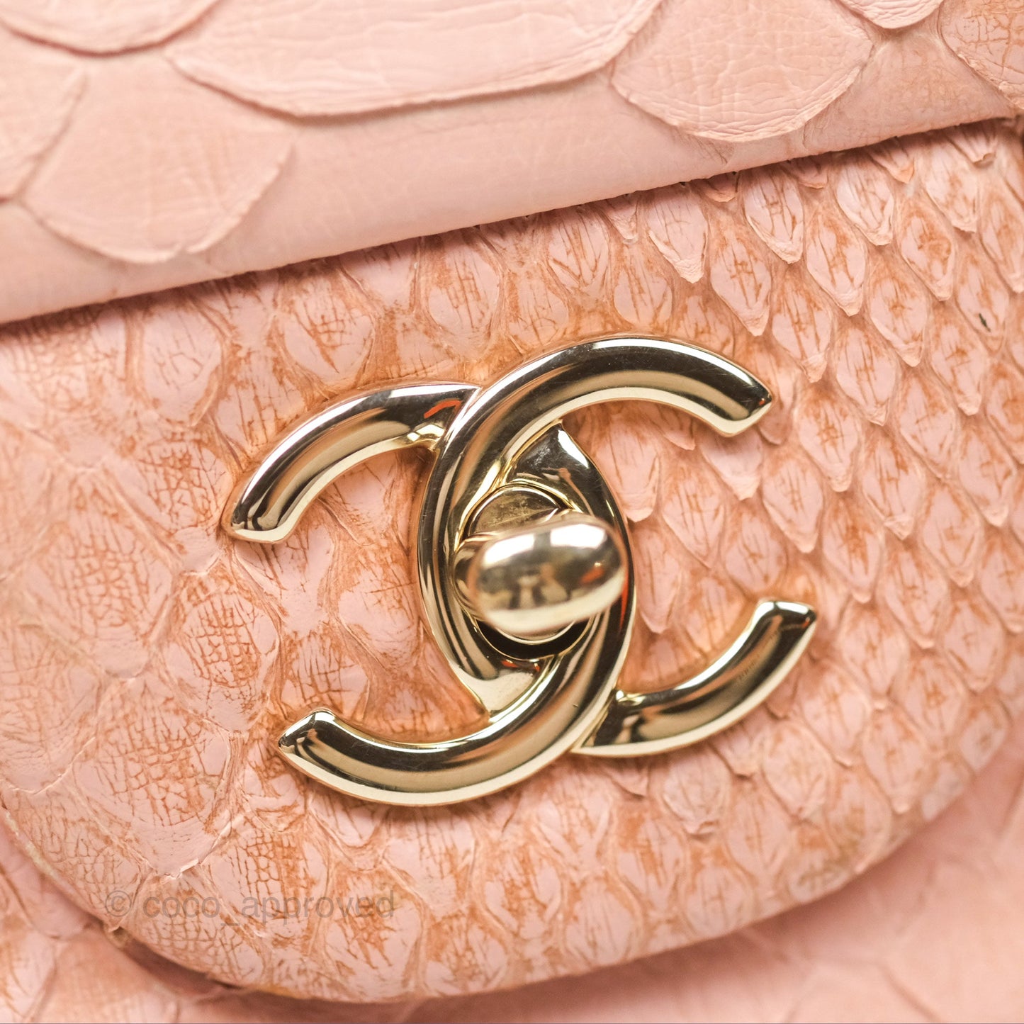 Chanel Jumbo Double Flap Python Pink Gold Hardware