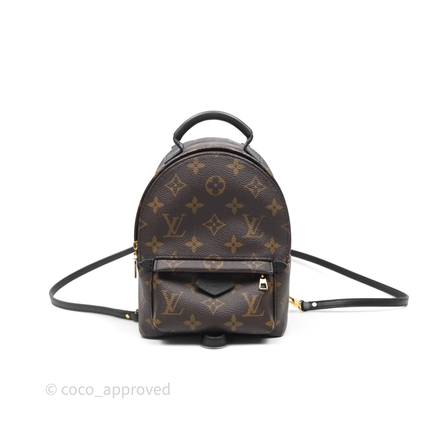 Louis Vuitton Mini Palm Springs Backpack⁣ Monogram