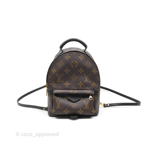 Louis Vuitton Mini Palm Springs Backpack⁣ Monogram