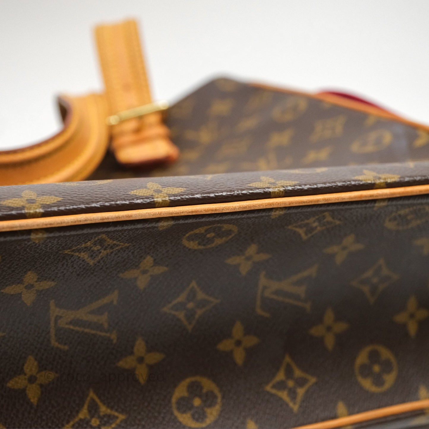 Louis Vuitton Multipli-Cite Tote Monogram Canvas