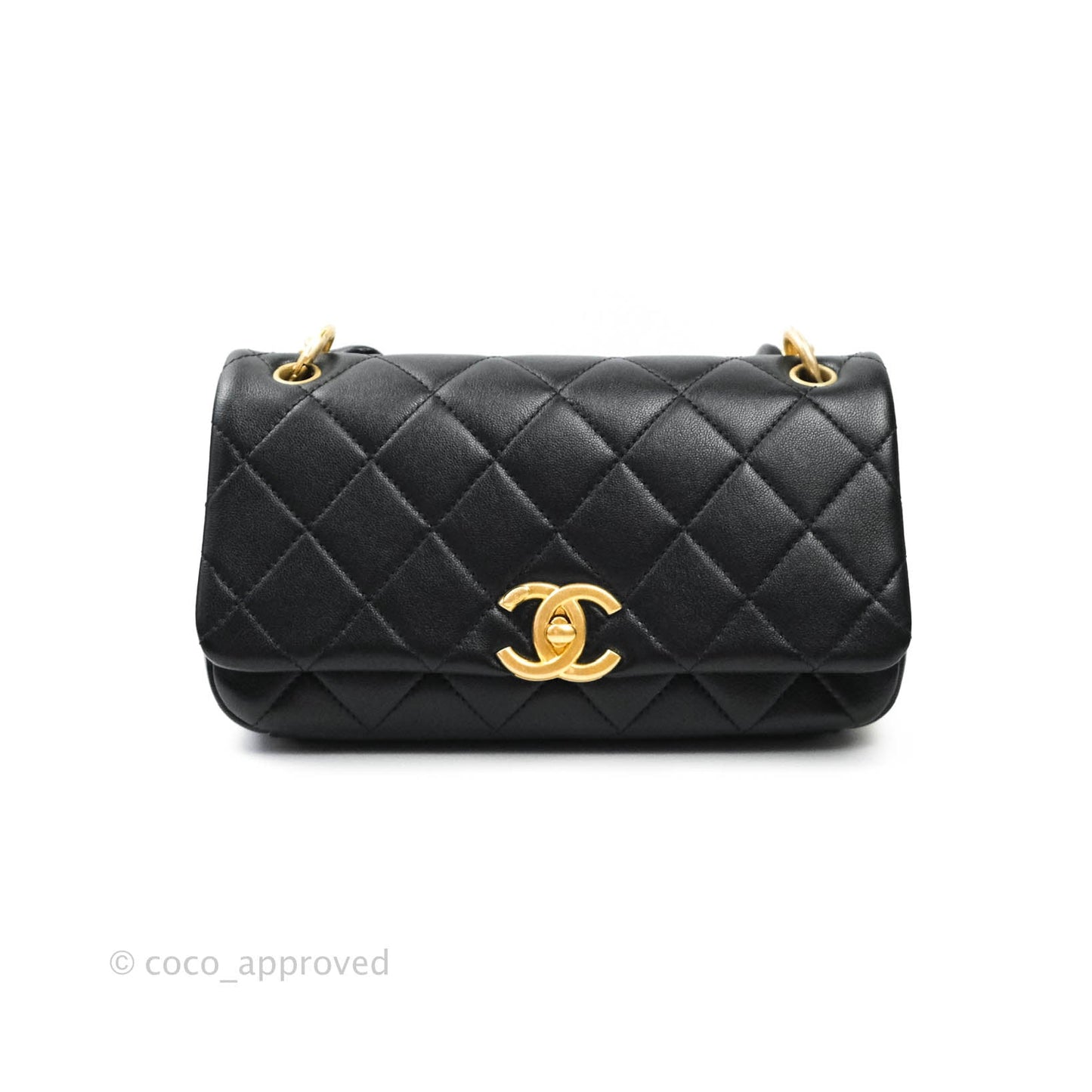 Chanel Leather Entwined Chain Bag Black Shiny Lambskin Aged Gold Hardware