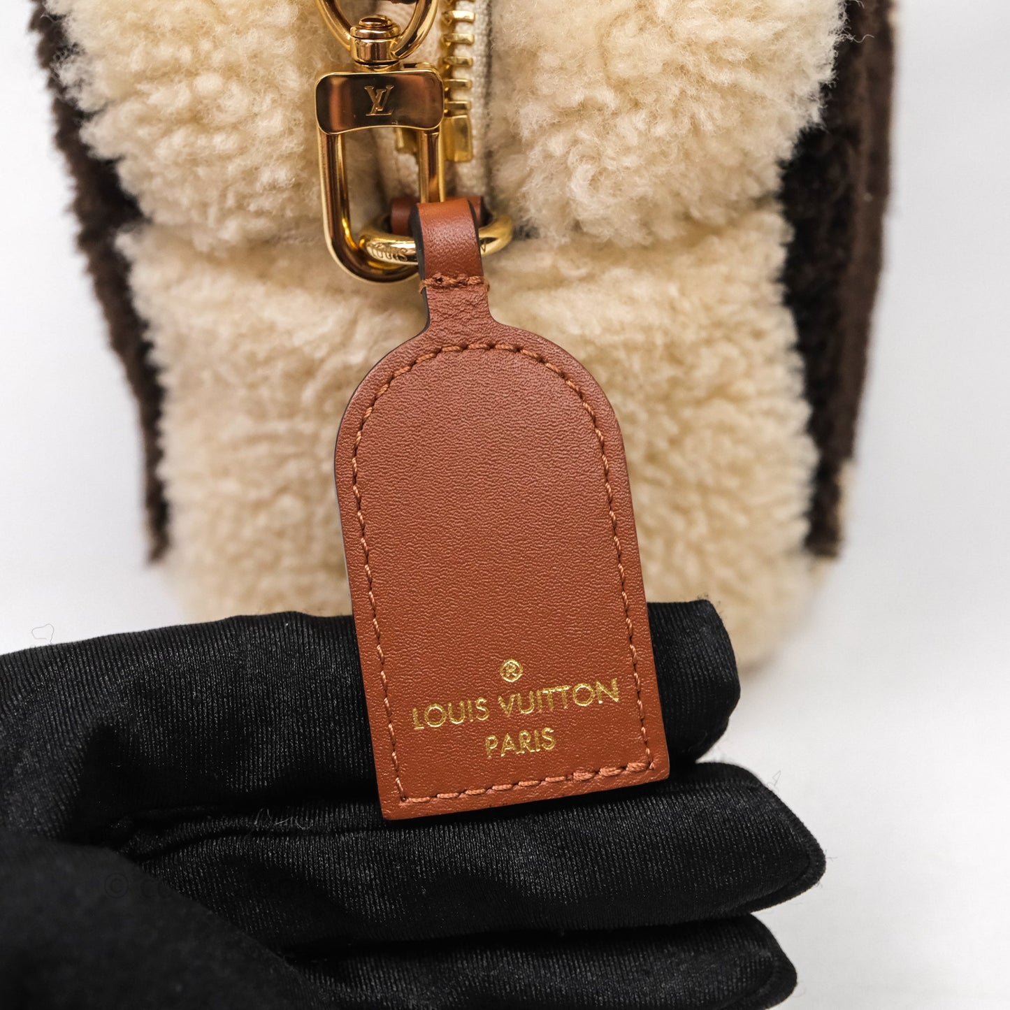 Louis Vuitton Teddy Beach Pouch Monogram