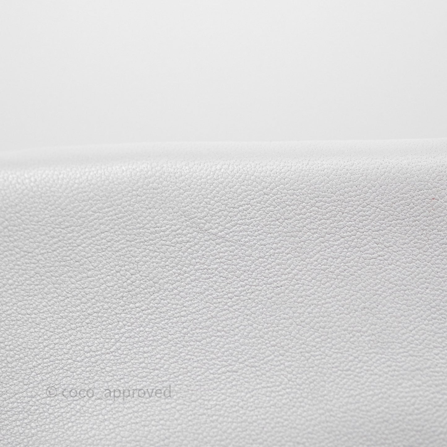 Chanel 19 Small Light Grey Mixed Hardware