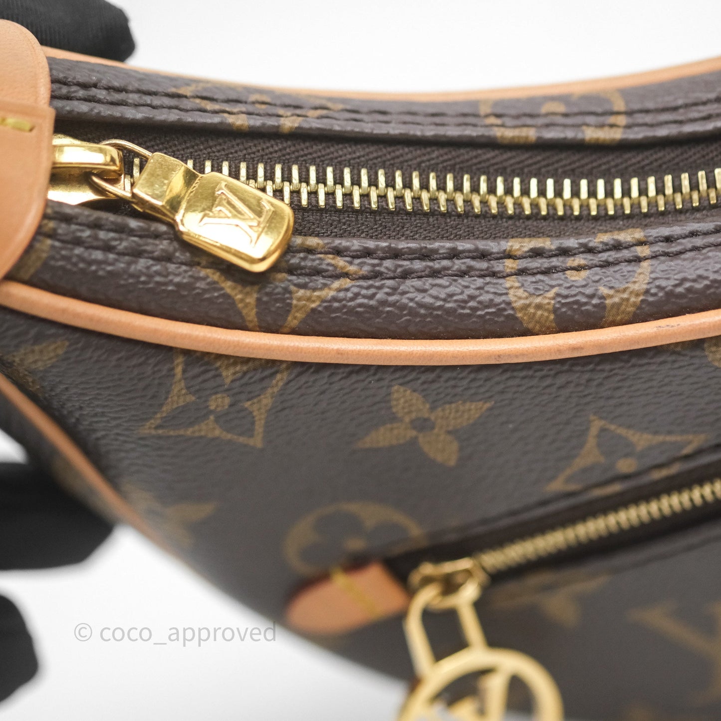 Louis Vuitton Loop Monogram Canvas