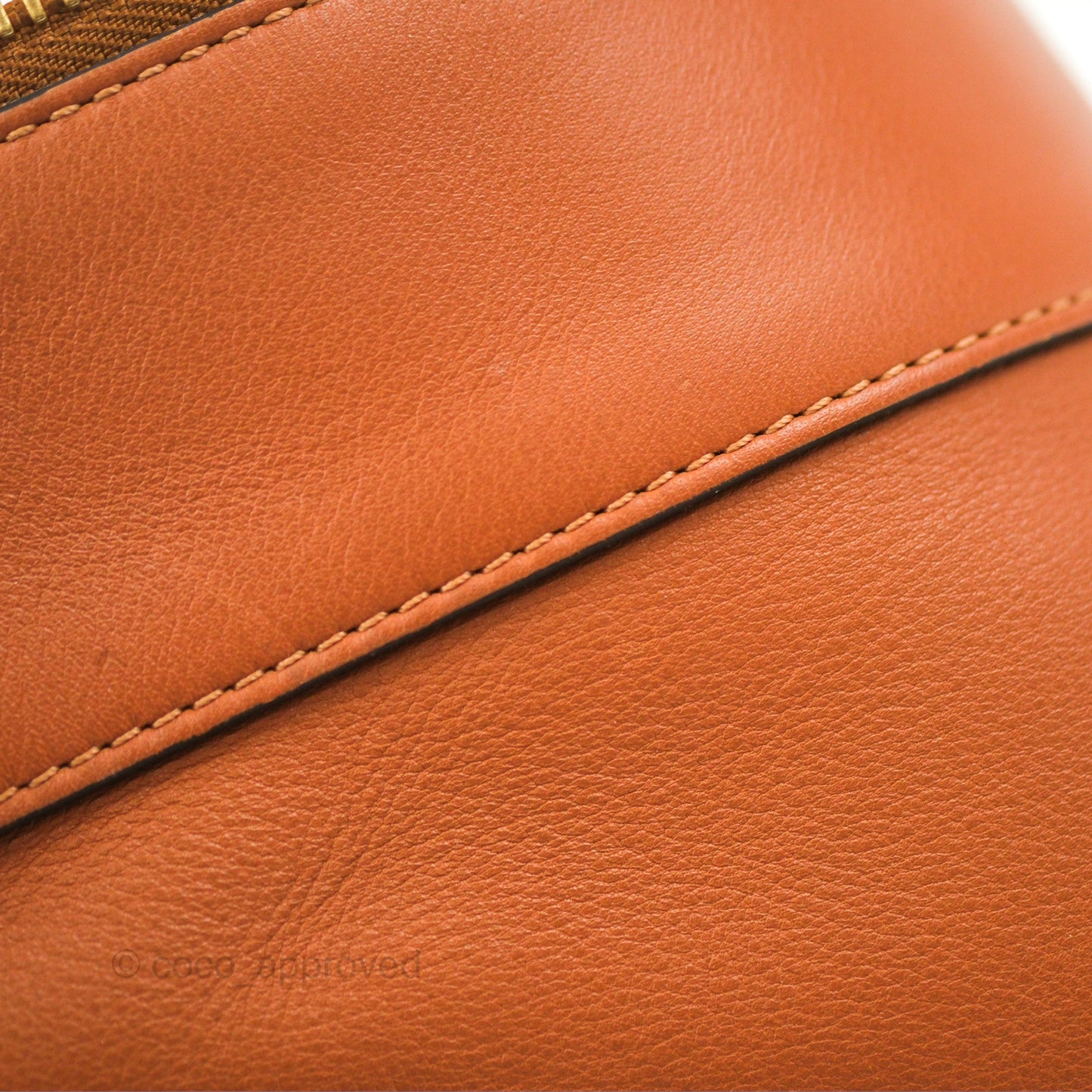 Loewe Large Fortune Hobo Tan Calfskin