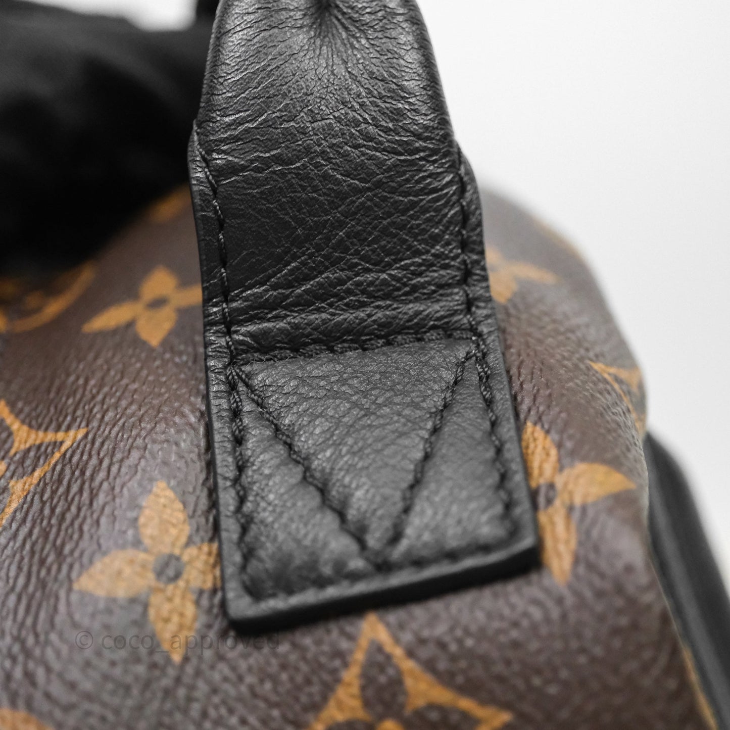 Louis Vuitton Palm Springs Backpack⁣ Monogram PM