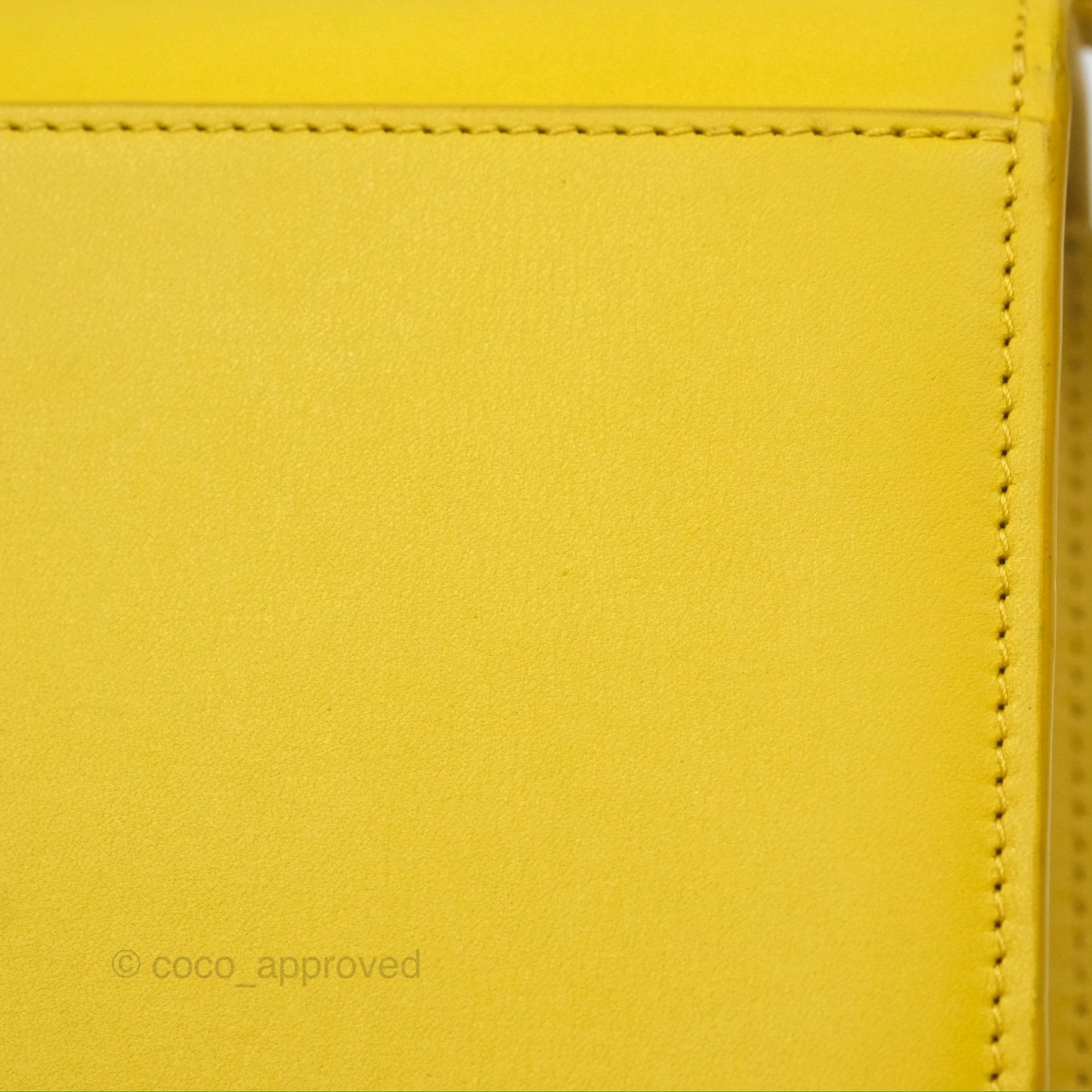 Loewe Small Goya Bag Yellow Silk Calfskin