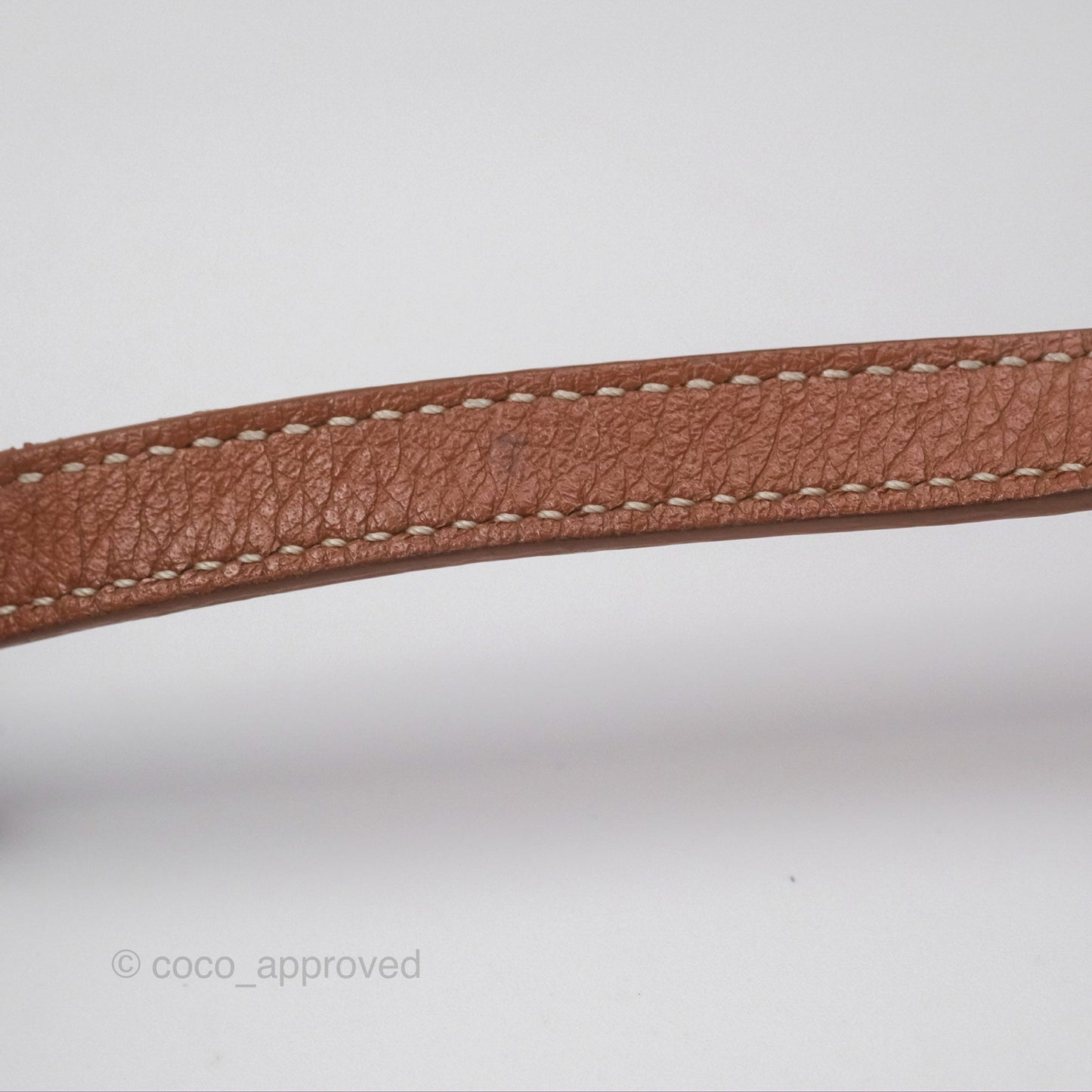 Goyard Saïgon Mini Bag Tan Goyardine Canvas/Chevroches Calfskin