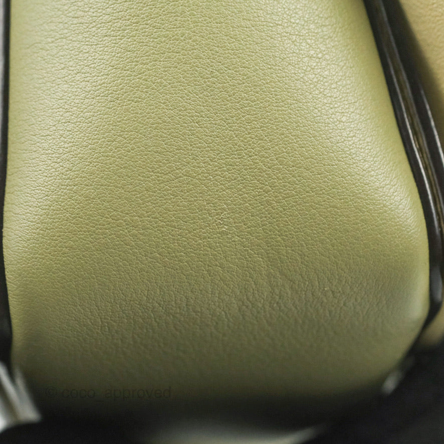 Celine Frame Bag Light Green
