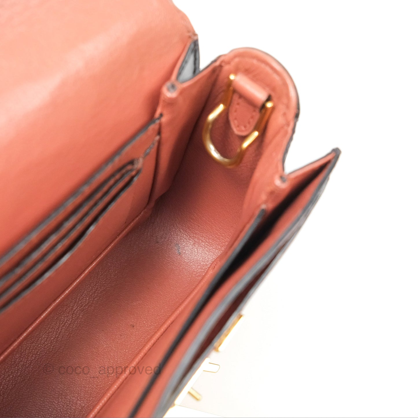 Louis Vuitton Vivienne Bag Brick Red Black