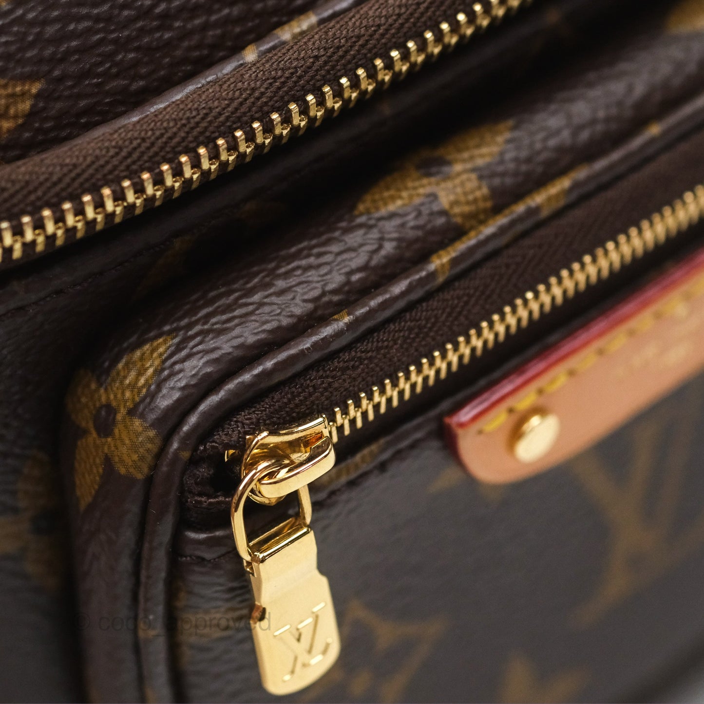 Louis Vitton Mini Bumbag in Monogram Canvas