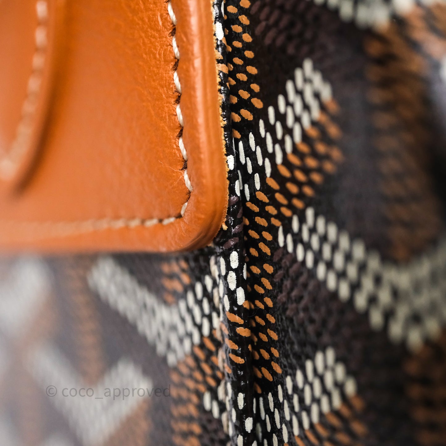 Goyard Mini Alpin Backpack Black/ Tan  Goyardine Calfskin