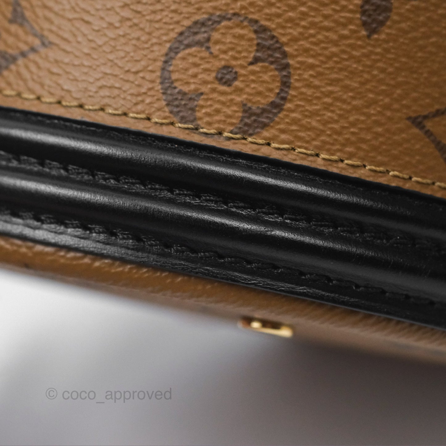 Louis Vuitton Monogram Canvas Reverse Cannes Bag