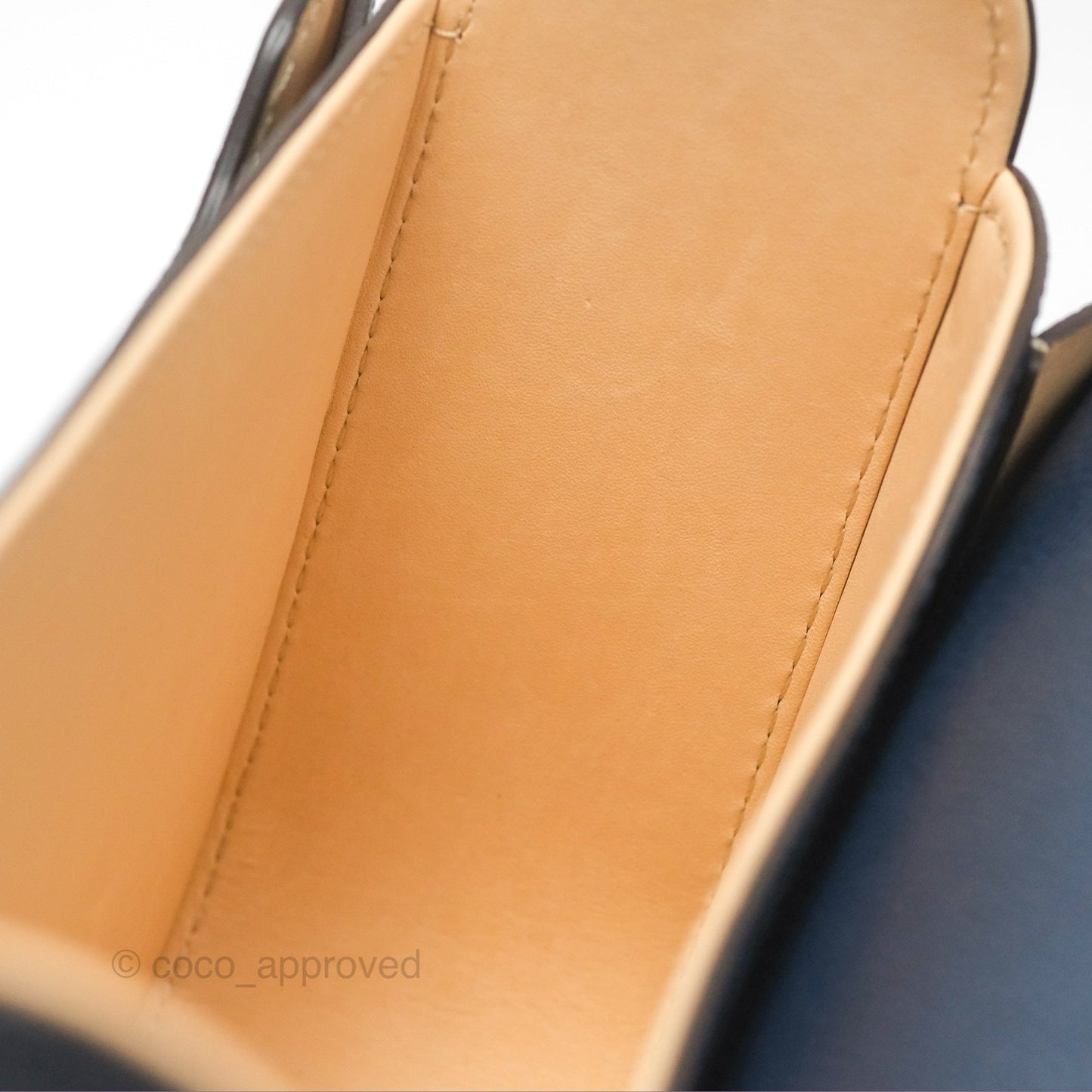 Delvaux Lingot Bag Night Sky Alpina Calfskin