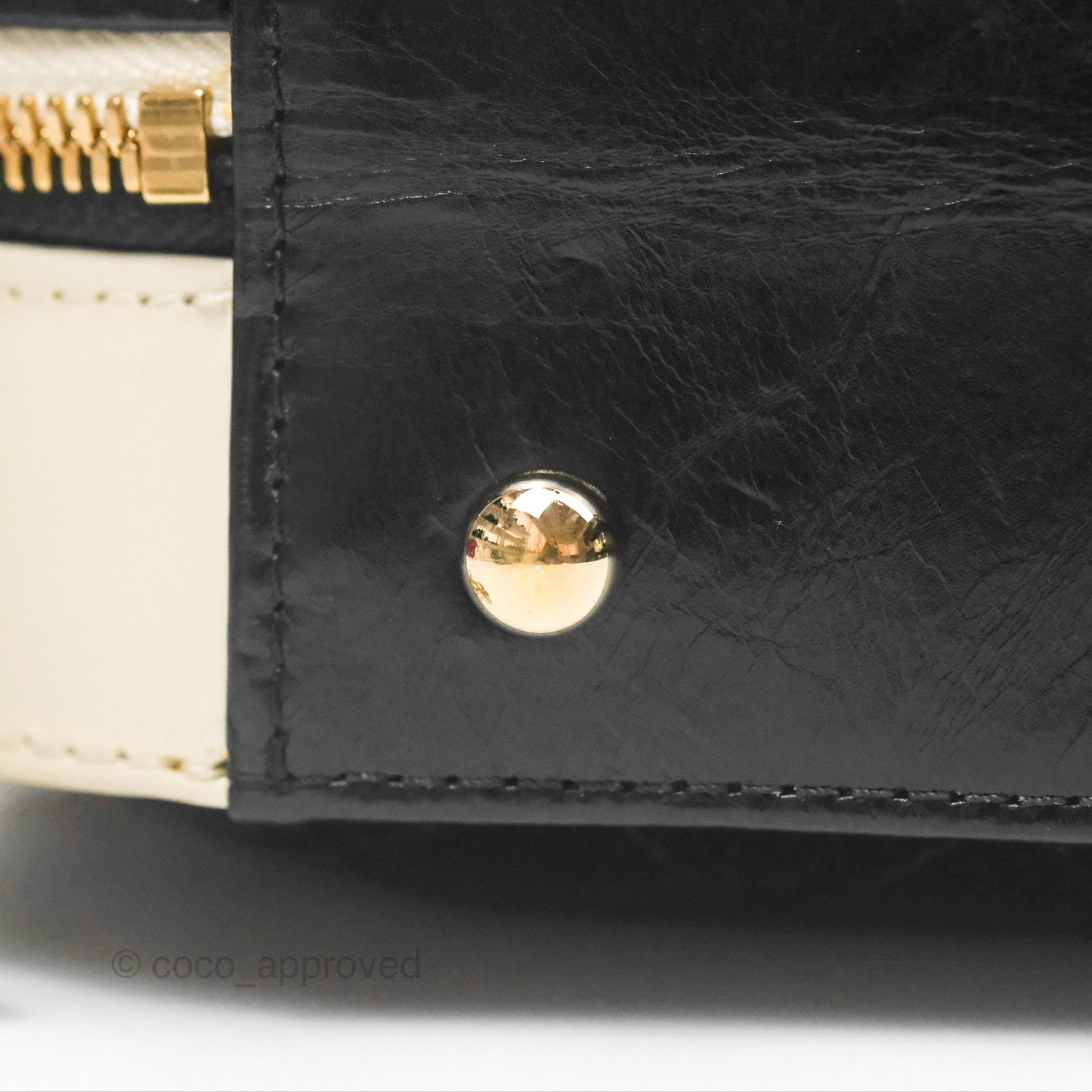 Chanel Camera Case Bag Black/White Calfskin Gold Hardware