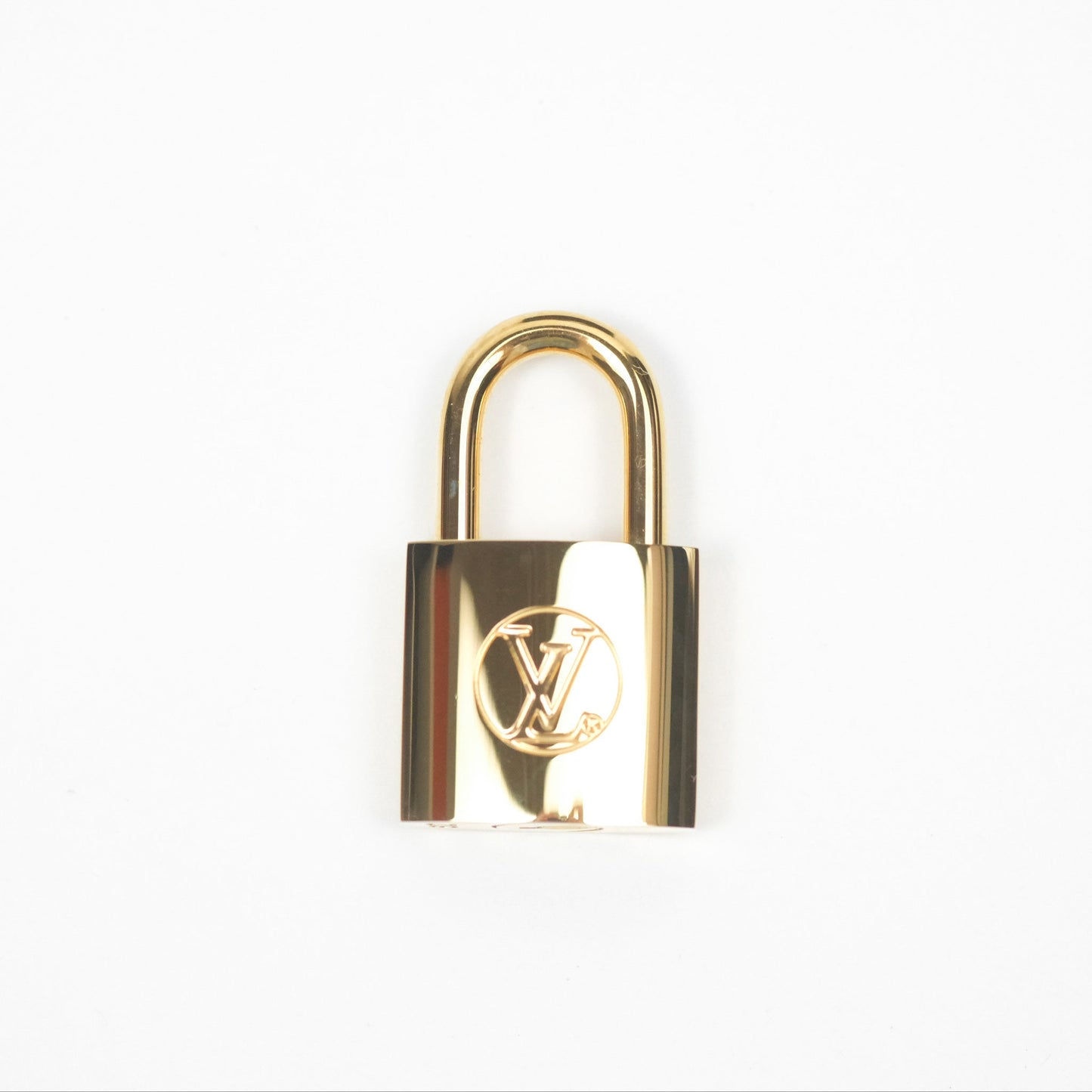 Louis Vuitton Reverse Monogram Vanity PM