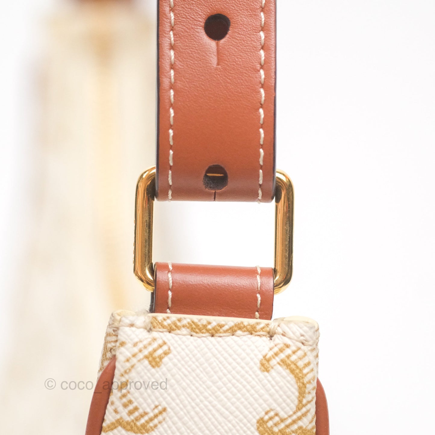 Celine Ava Bag In Triomphe Canvas Calfskin White