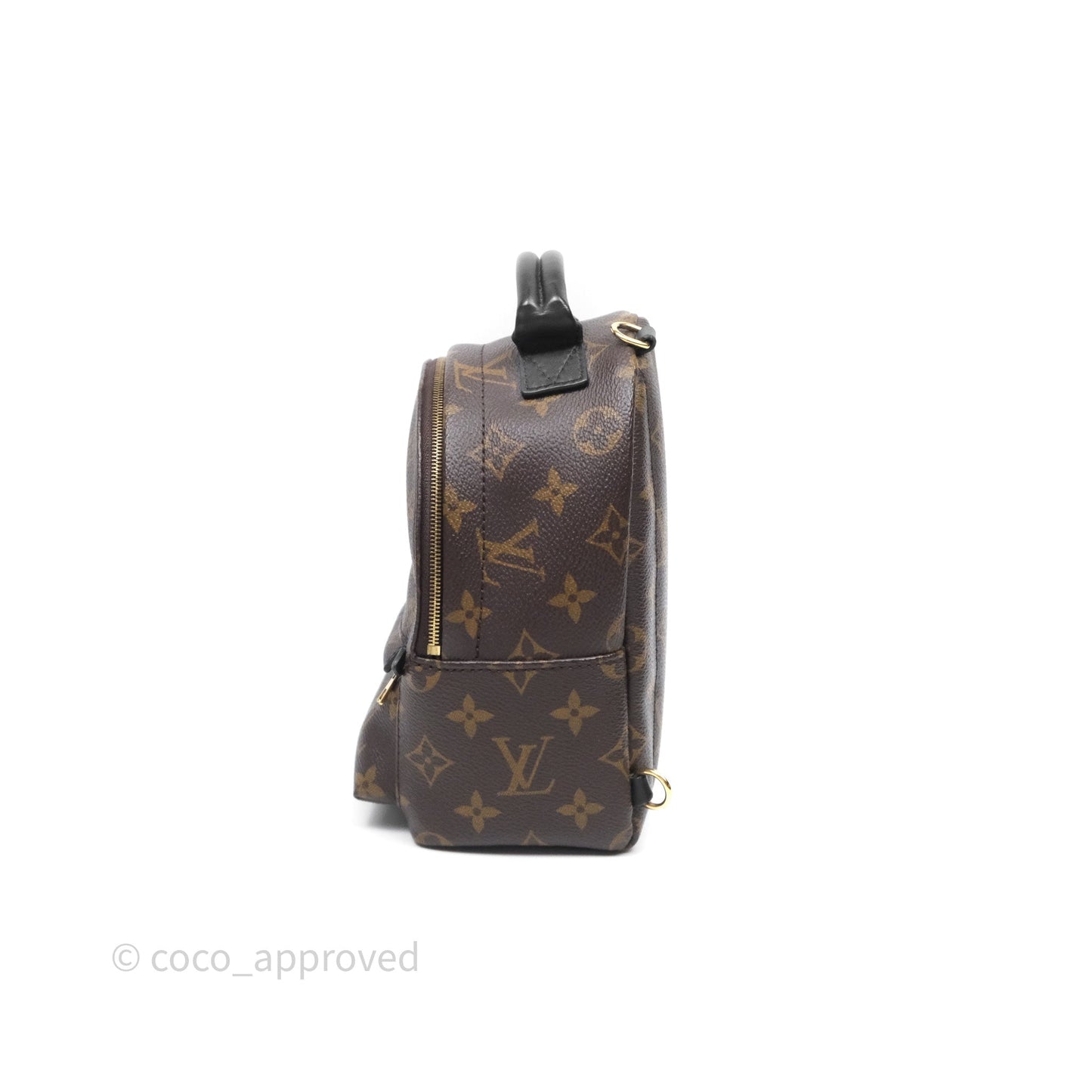 Louis Vuitton Mini Palm Springs Backpack⁣ Monogram