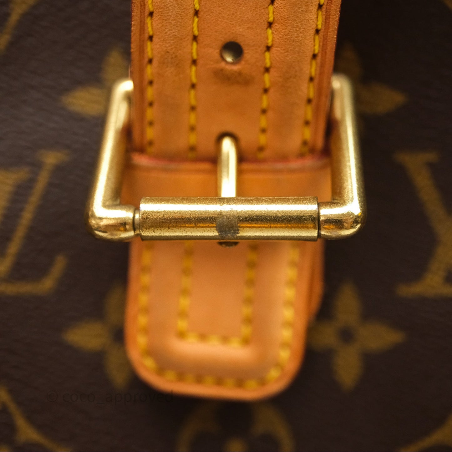 Louis Vuitton Multipli-Cite Tote Monogram Canvas