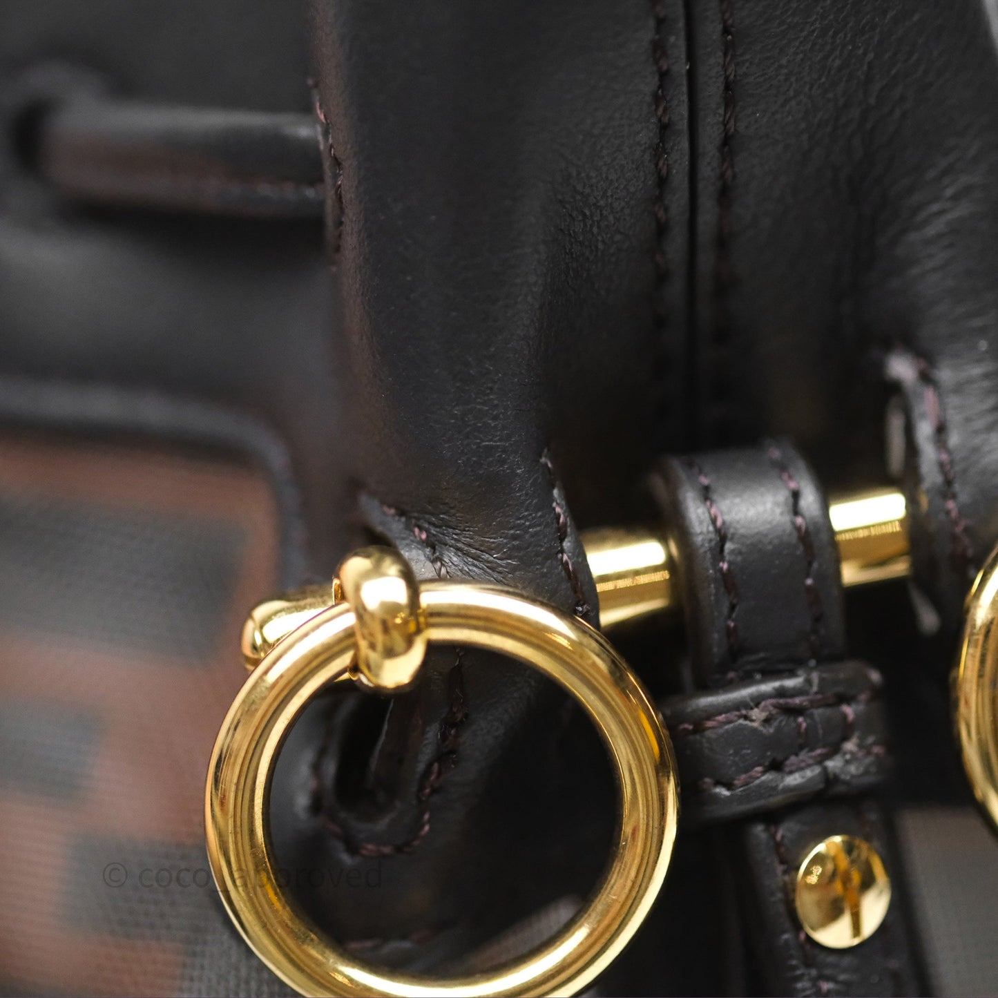 Fendi Mini Mon Tresor Bucket Bag Zucca See Through Mesh Brown/Black/Ebony